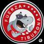 Avatar de Usuario